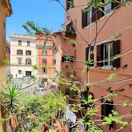 Restart Zingari * Rome